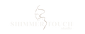 Shimmer Touch Studio